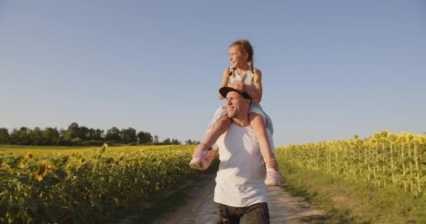 Baba Kızını Kollarında Bir Ayçiçeği Tarlasında Taşıyor — Stok video