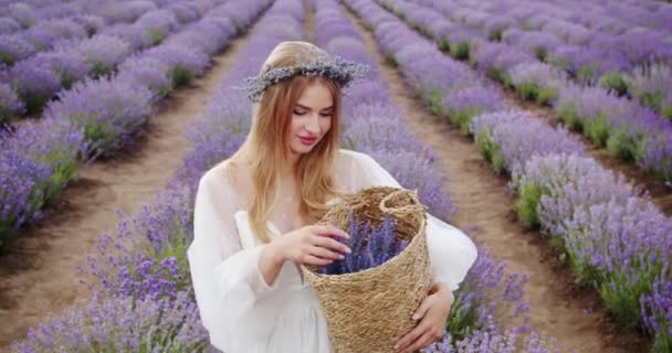 Young Girl Walks Bouquet Lavender Field – Stock-video