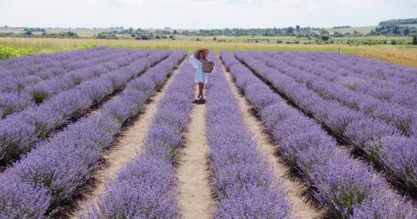 Young Girl Walks Bouquet Lavender Field — Video Stock