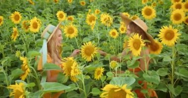 two sexy girls in a sunflower field pose for a photo shoot