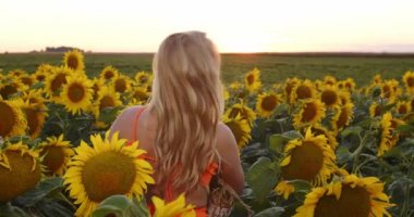 Girl model poses in sunflowers for gloss
