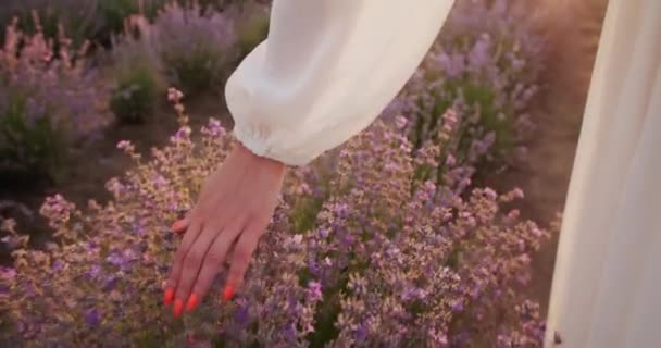 Girl Touches Flower Gentle Hand — Video Stock