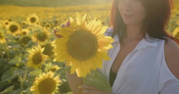 Beautiful Girl Holding Big Sunflower Flower — 비디오