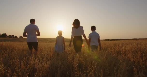 Family Walks Field Joyfully Holding Hands — Video Stock