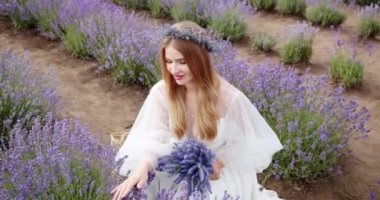 a young girl collects a lavender bouquet in the field