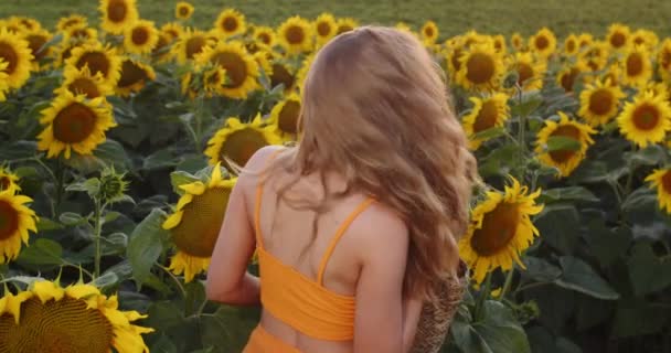 Girl Model Poses Sunflowers Gloss — Video Stock