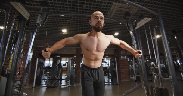 Sportsman Bodybuilder Γυμνό Κορμό Και Την Άντληση Ώμου Ζώνη Ώμου — Αρχείο Βίντεο