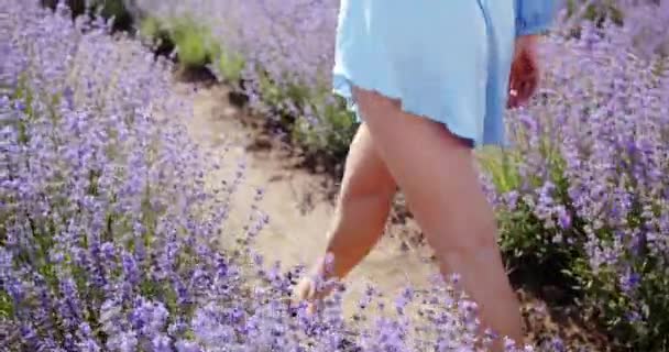 Enjoy Rest Flower Field — Video Stock