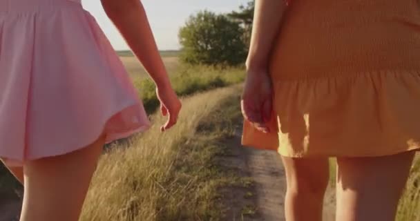 Дівчата Коротких Сексуальних Сукнях Спокушають Вигнутими Стегнами — стокове відео