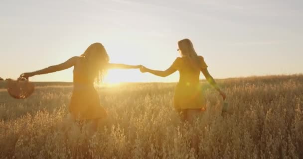 有诱惑力的姑娘们一起在田野里散步 — 图库视频影像