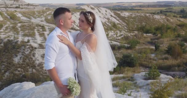 Hochzeitspaar Der Bräutigam Umarmt Die Braut Braut Und Bräutigam Gehen — Stockvideo