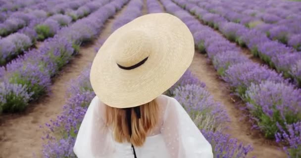 Sexy Verleidelijk Meisje Een Delicate Witte Jurk Wandelingen Een Bloem — Stockvideo