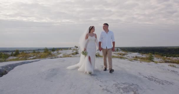 Sposi Gioiosi Sposi Che Camminano Sul Pendio Della Montagna Matrimonio — Video Stock