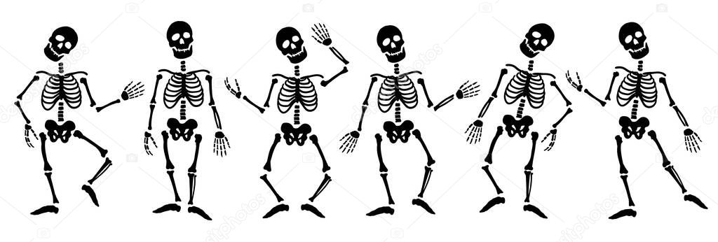 A set of skeletons in different poses. Vector illustration.