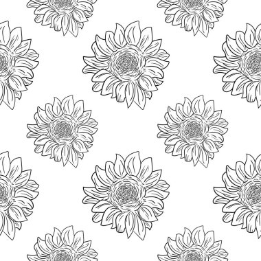 Çizim tarzında kusursuz desenli bir ayçiçeği resmi. Siyah beyaz baskı. Tekstil, kağıt ve dekor için tasarım.