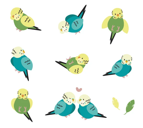 Sada Roztomilých Papoušků Různých Pozicích Ploché Ikony Vektorová Ilustrace — Stockový vektor