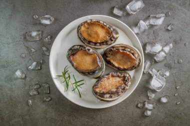 Denizden taze deniz ürünleri.