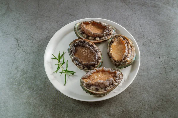 Fresh Seafood Abalone Sea — Stock Photo, Image