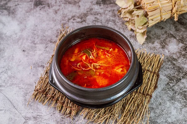 Dakgaejang Korean Style Spicy Chicken Soup — Fotografia de Stock