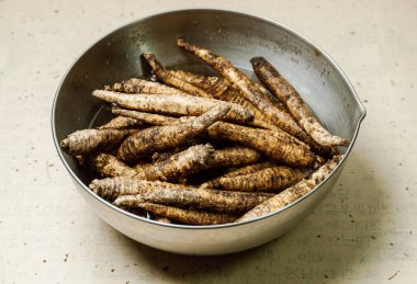 Codonopsis lanceolata in a bowl