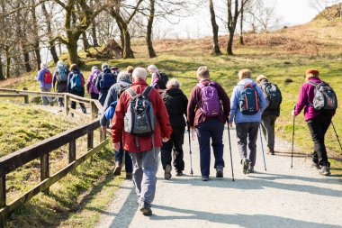 Lake District, İngiltere - 21 Mart 2022. Bir grup yaşlı aylak, Lake District Ulusal Parkı 'nda enerjik bir yürüyüş yapıyor.