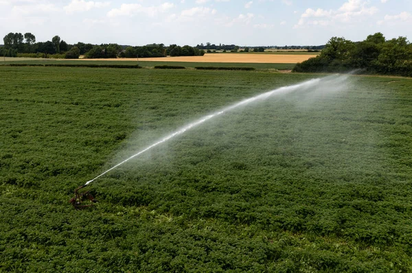 A jet water pressure sprayer being used to irrigate a potato crop during drough weather conditions with copy space