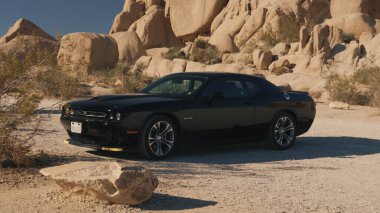 Amerikan kaslı arabası Dodge Challenger
