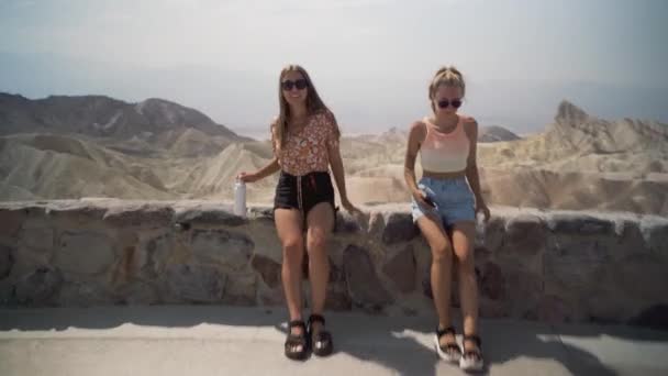 To smilende kvindelige venner – Stock-video