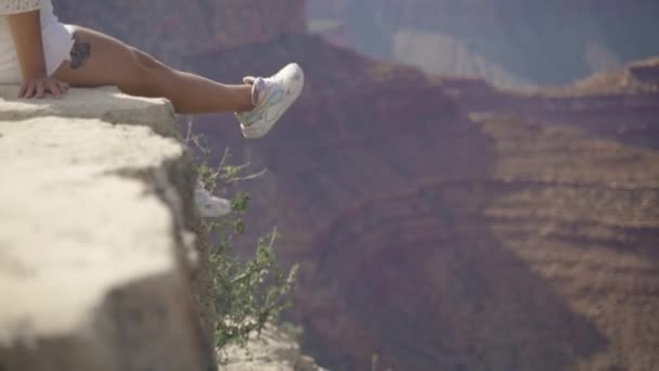 Wandelaars in de Grand Canyon — Stockvideo