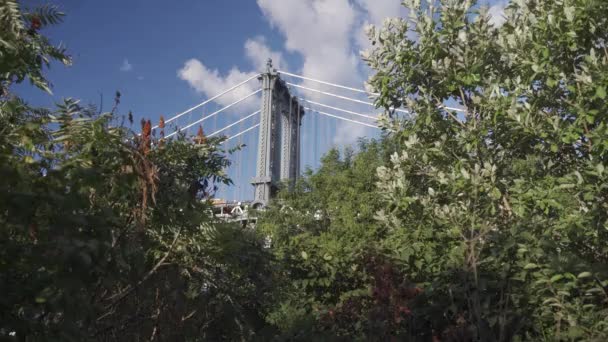 뉴욕 시에 있는 아이코닉 브루클린 다리 — 비디오