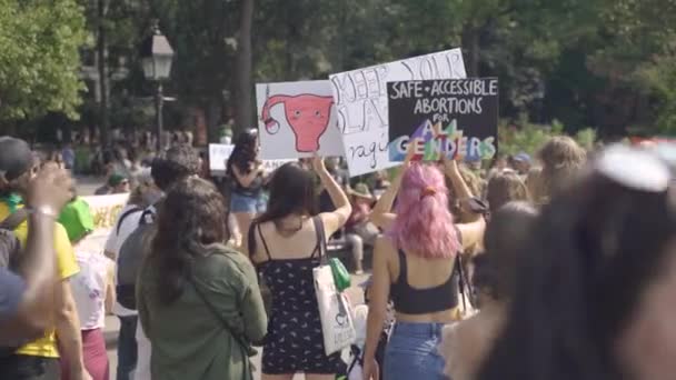 Movimento contra a proibição do aborto — Vídeo de Stock