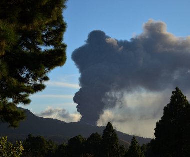 Volkanik patlama İspanya 'nın La Palma, Kanarya Adaları' ndaki çam ormanlarında görüldü.