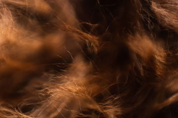 Абстракція Макрофотографія Волосся Тварин Тло Коричневе — стокове фото