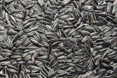 Açık çizgili ayçiçeği çekirdekleri.