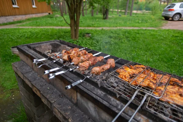 Meat Grill Family Vacation Nature — Stock Photo, Image