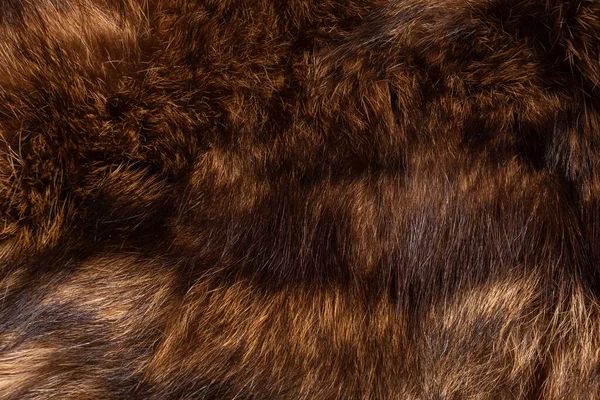 Fur Arctic Fox Brown Texture Natural Fur — Stock Photo, Image