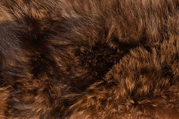 Fourrure Renard Arctique Est Brune Texture Fourrure Naturelle — Photo