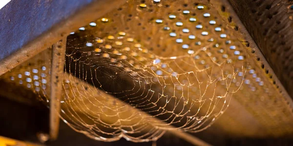 커다란 거미줄에 모래를 뿌리고 그것은 태양에서 반짝이고 있습니다 파노라마 — 스톡 사진