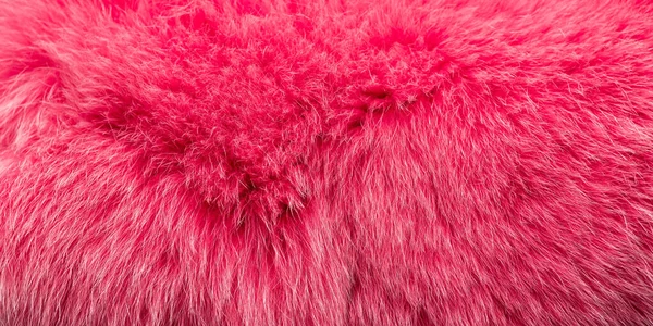 Naturalne Futro Farbowane Różowo Panorama — Zdjęcie stockowe
