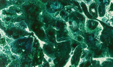 Taş gibi yeşil mermer bir doku. Sıvı akrilik boya. Özet ebru arkaplanı