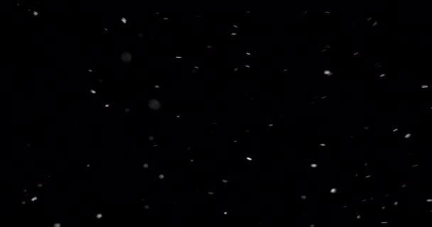 Echt fallende Schneeflocken Winter-Overlay, Langsam fallender Schnee-Effekt lizenzfreies Stockvideo