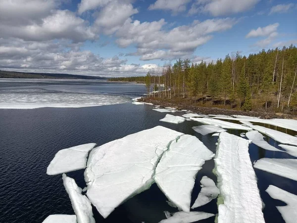 Vista de un lago derritiéndose en el borde de un bosque en el norte de Suecia — Foto de Stock