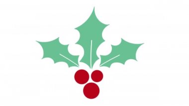 Noel animasyon geçmişi ve Noel meyveleri