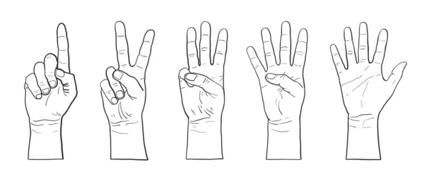 手头上计数为5的矢量说明 — 图库矢量图片
