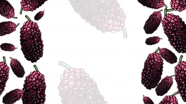 Mulberries White Background Animated Footage — 비디오