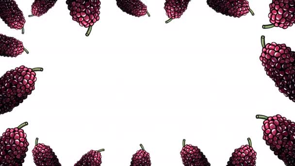 Mulberries White Background Animated Footage — ストック動画