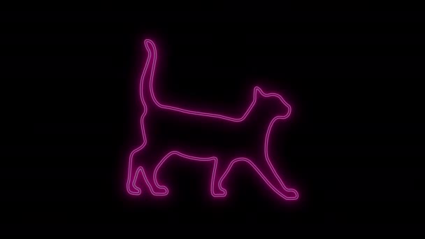 Rózsaszín Színes Neon Line Light Cat Ikon Animáció Fekete Háttérrel — Stock videók