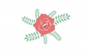 Çiçek ve yaprakların animasyonu