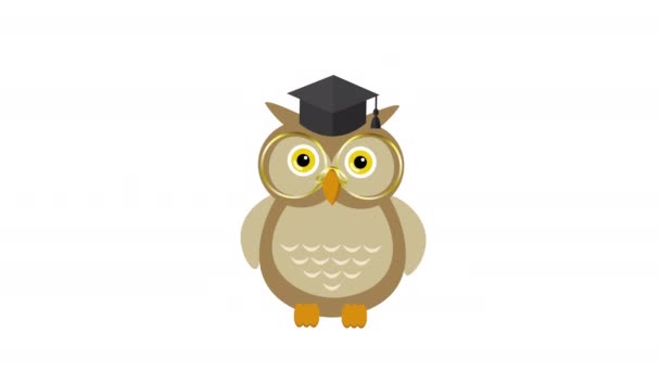 Animation Hibou Dans Chapeau Graduation — Video