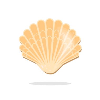 Deniz kabuğu, beyaz arkaplanda vektör sanatı